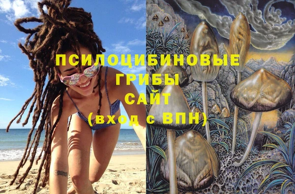 стаф Балабаново