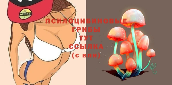 гашик Балахна